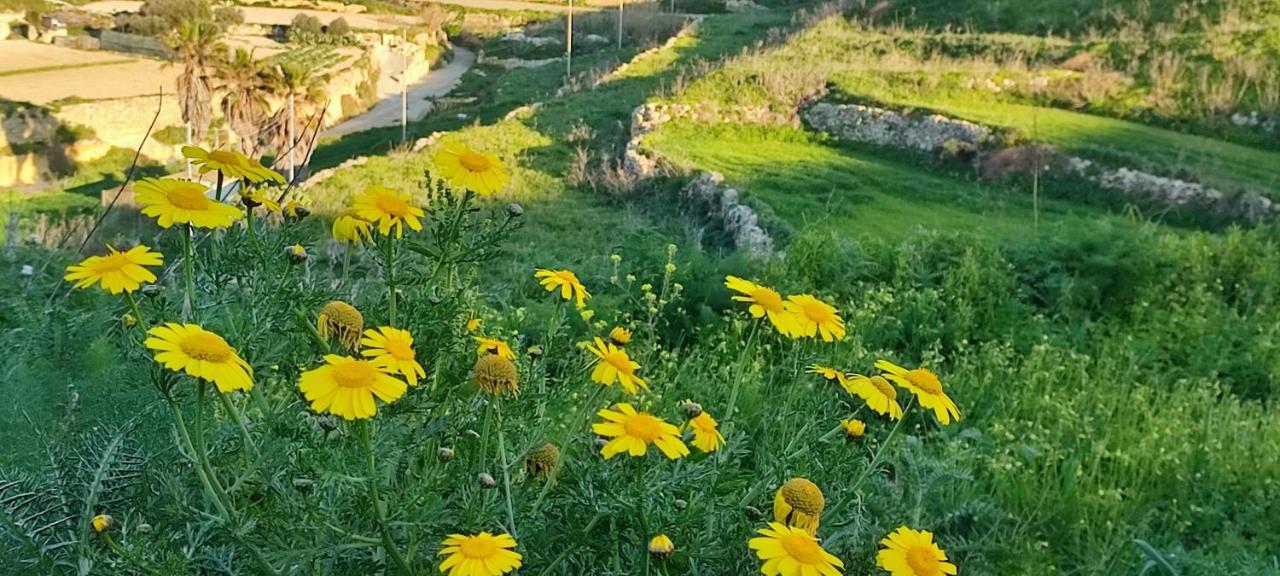 Grotto'S Paradise B&B Għarb Екстериор снимка