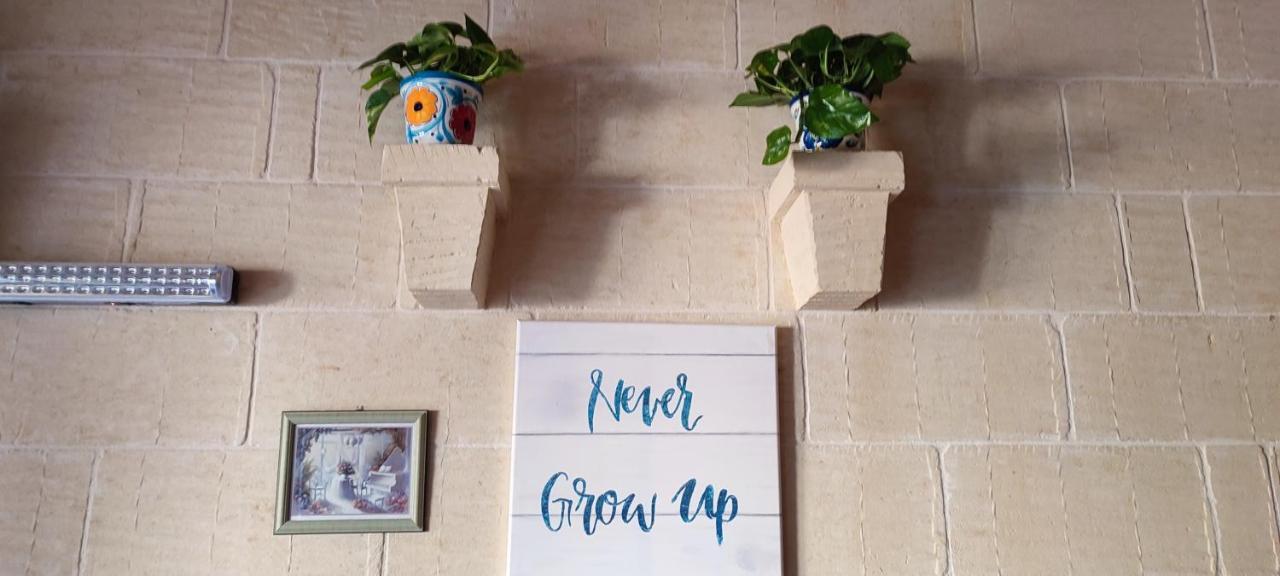Grotto'S Paradise B&B Għarb Екстериор снимка